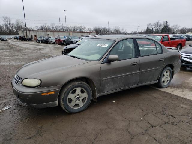 Lot #2485024976 2002 CHEVROLET MALIBU LS salvage car