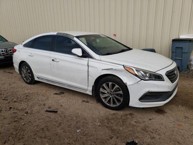 5NPE34AF3HH461084 | 2017 HYUNDAI SONATA SPO