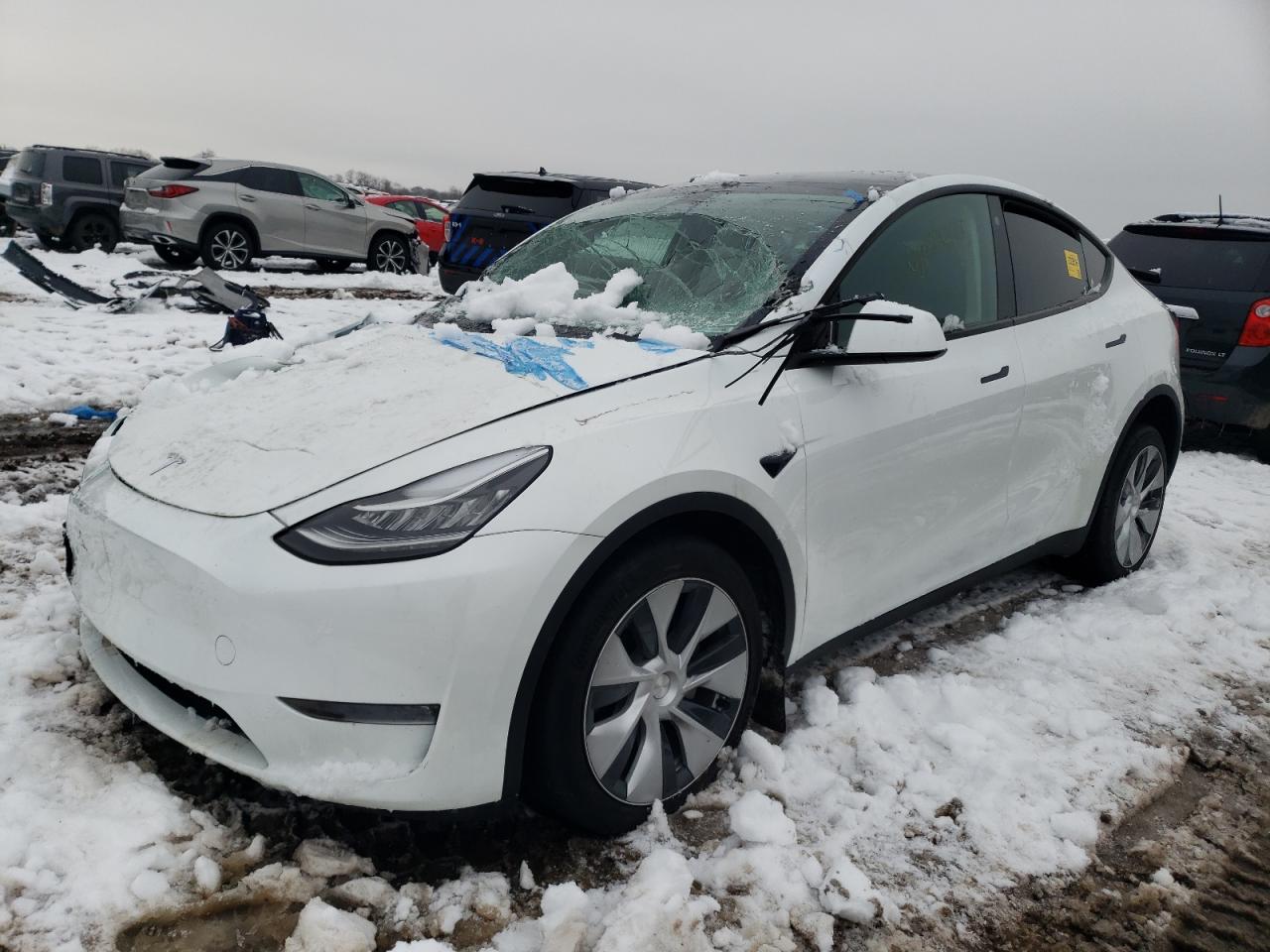 TESLA MODEL Y