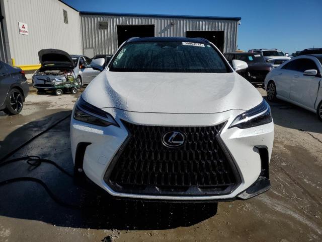 2024 LEXUS NX 350H BA JTJHKCEZ8R5015560