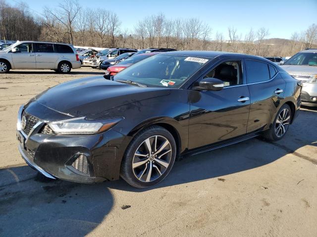 Lot #2440219794 2019 NISSAN MAXIMA S salvage car