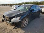 NISSAN MAXIMA S photo