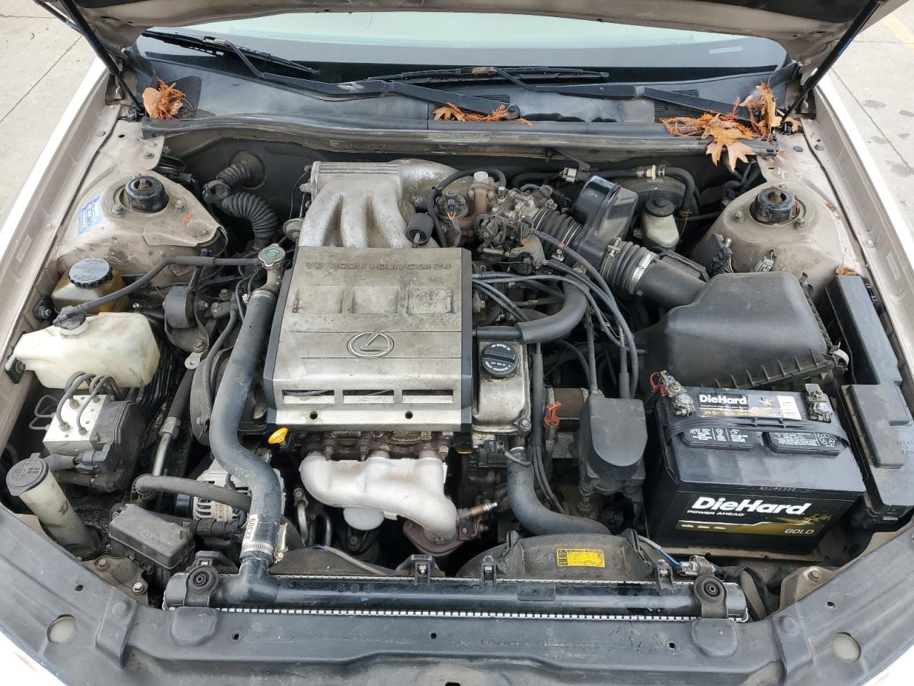 JT8BF28G7W5049565 1998 Lexus Es 300