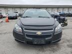 CHEVROLET MALIBU photo