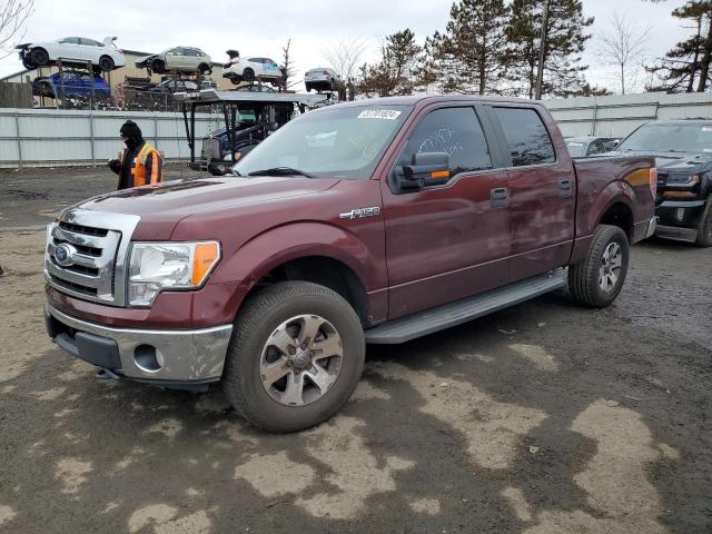 2010 Ford F-150 SuperCrew 