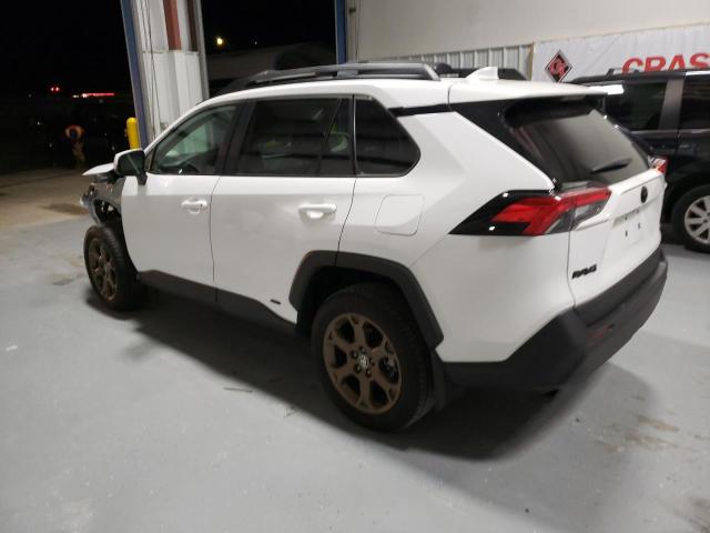 2T3UWRFV1PW151359 | 2023 TOYOTA RAV4 WOODL