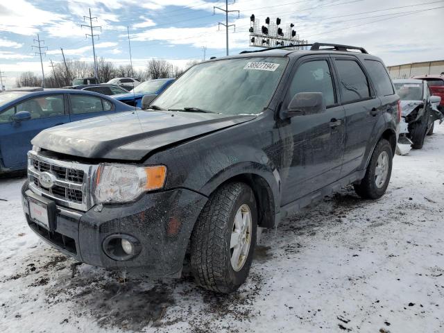 2010 Ford Escape XLT