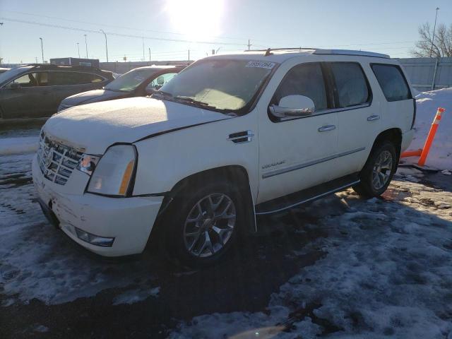 2010 Cadillac Escalade Luxury