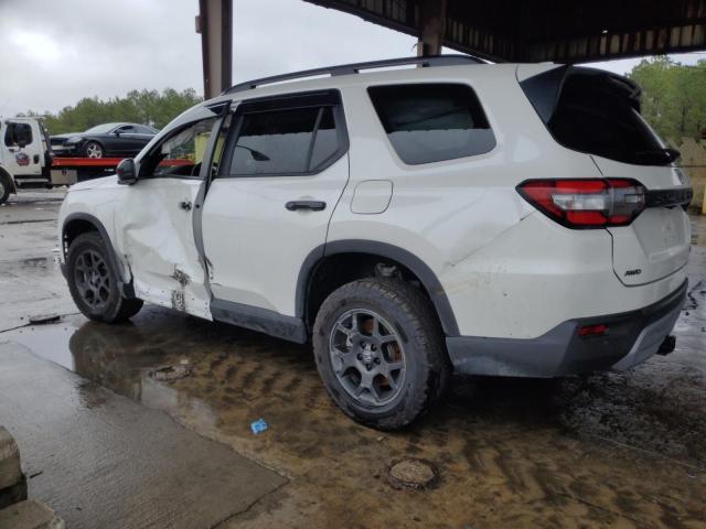 2024 HONDA PILOT TRAI 5FNYG1H66RB005232