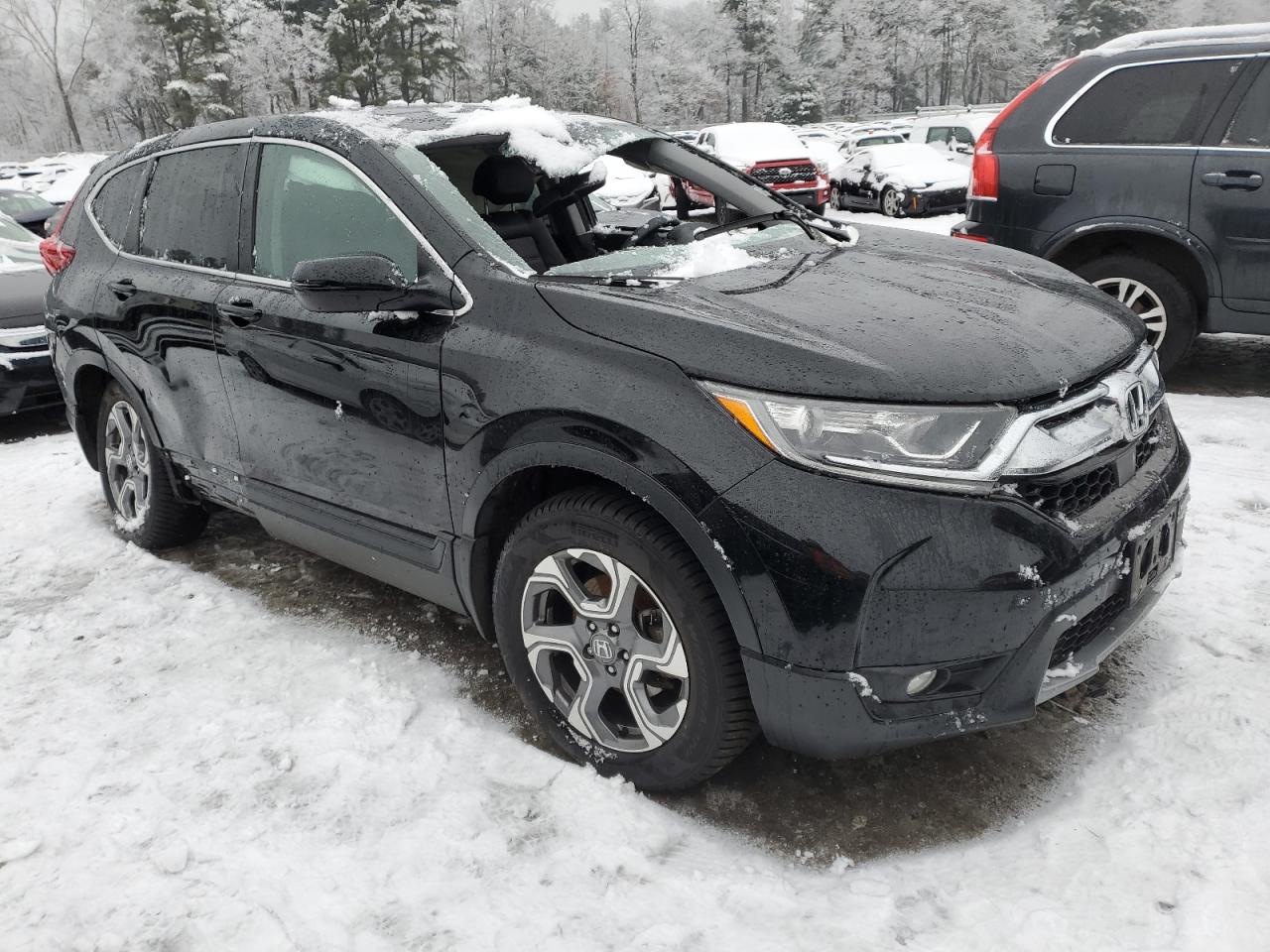 Lot #2508137445 2019 HONDA CR-V EXL