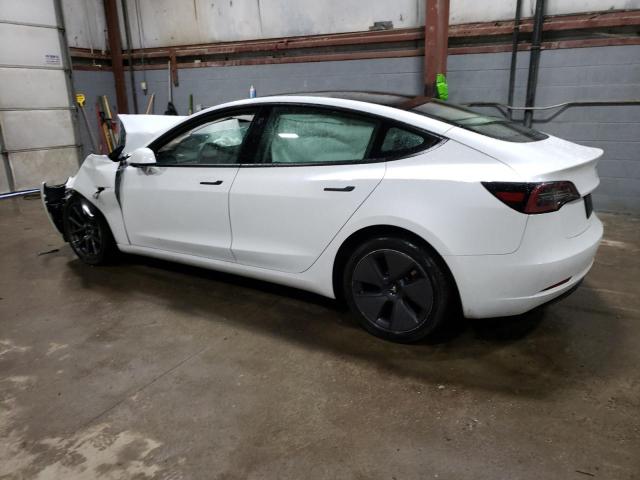 5YJ3E1EA5PF429572 | 2023 TESLA MODEL 3