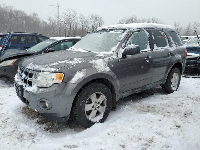 2009 Ford Escape XLT