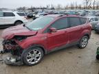 Lot #2526755150 2013 FORD ESCAPE SEL