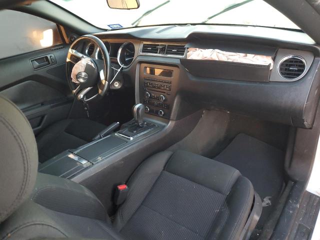 1ZVBP8AM9E5278052 | 2014 FORD MUSTANG