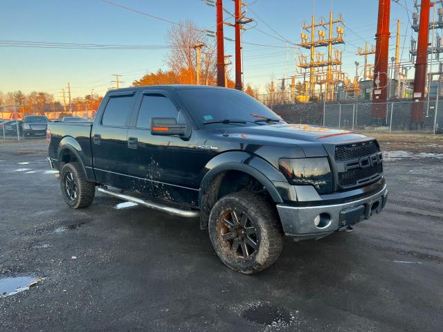 2010 Ford F-150 SuperCrew 