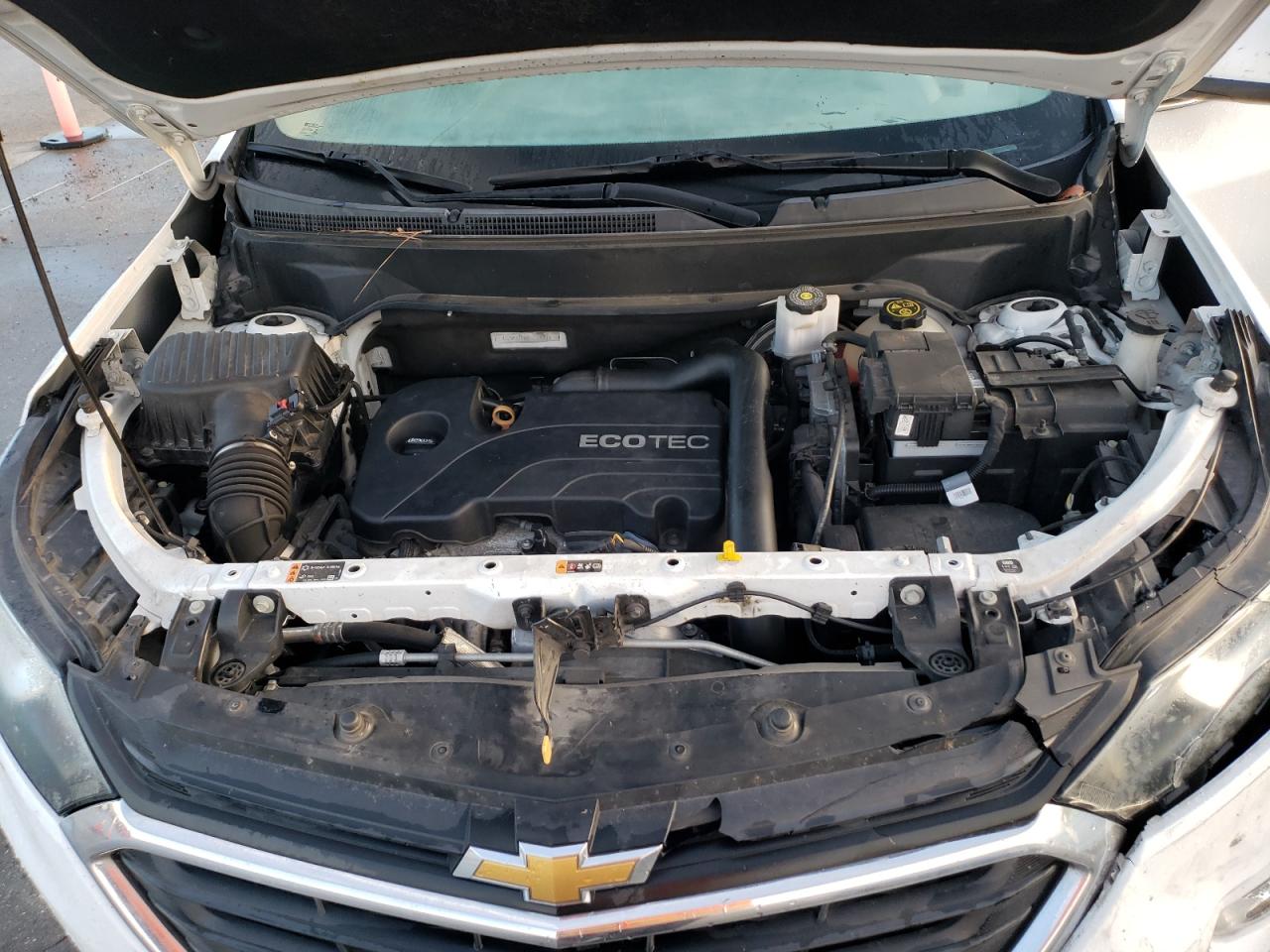 2GNAXUEV6K6210647 2019 Chevrolet Equinox Lt