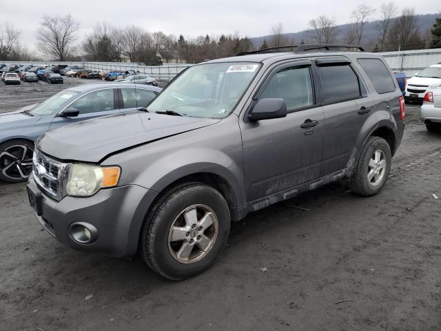 2010 Ford Escape XLT