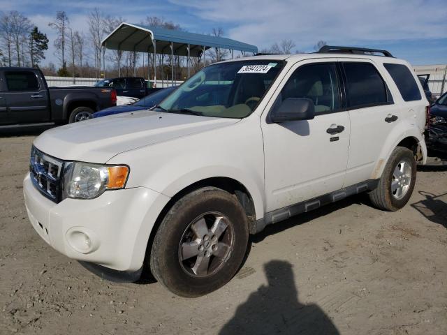 2009 Ford Escape XLT