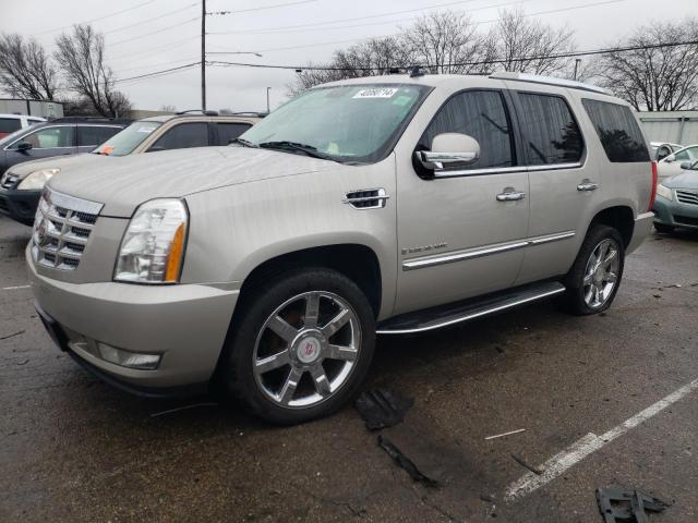 2009 Cadillac Escalade Luxury VIN: 1GYFK23259R220623 Lot: 40080714