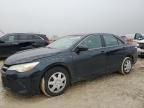 2016 TOYOTA CAMRY LE - 4T4BF1FK8GR552923