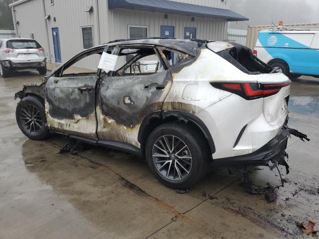 2023 LEXUS NX 250 2T2GDCAZXPC005395