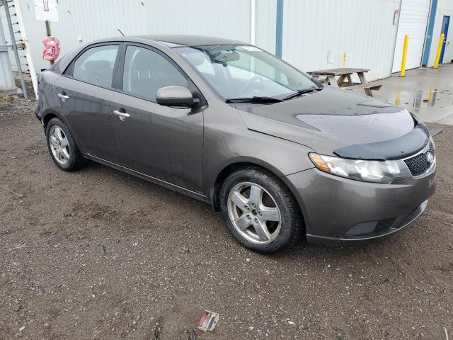 2012 Kia Forte Ex VIN: KNAFU4A2XC5500533 Lot: 37913854