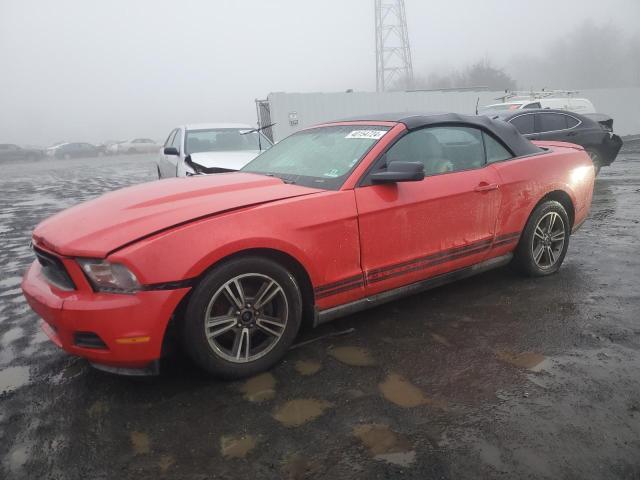 2010 Ford Mustang 