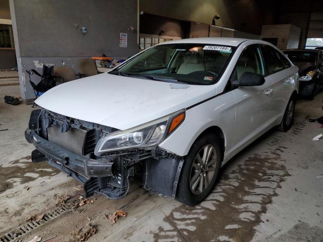 Lot #2390211044 2015 HYUNDAI SONATA SE salvage car