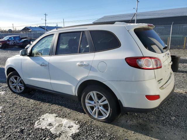 2010 Hyundai Santa Fe Se VIN: 5NMSHDAG8AH389802 Lot: 37231844