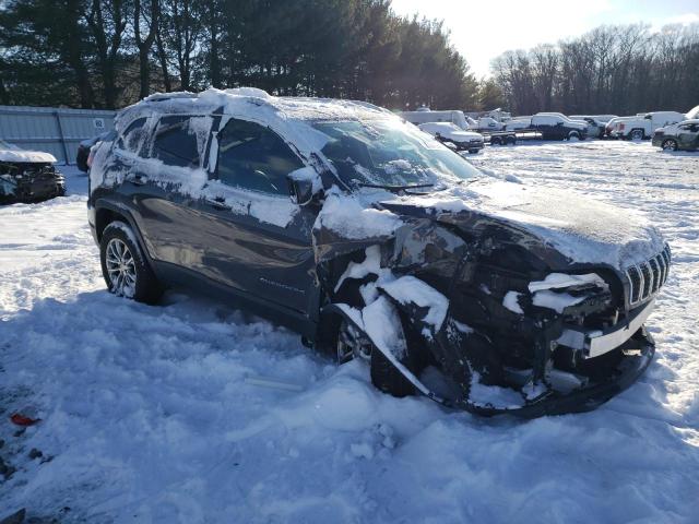 2019 JEEP CHEROKEE 1C4PJMLB4KD230961