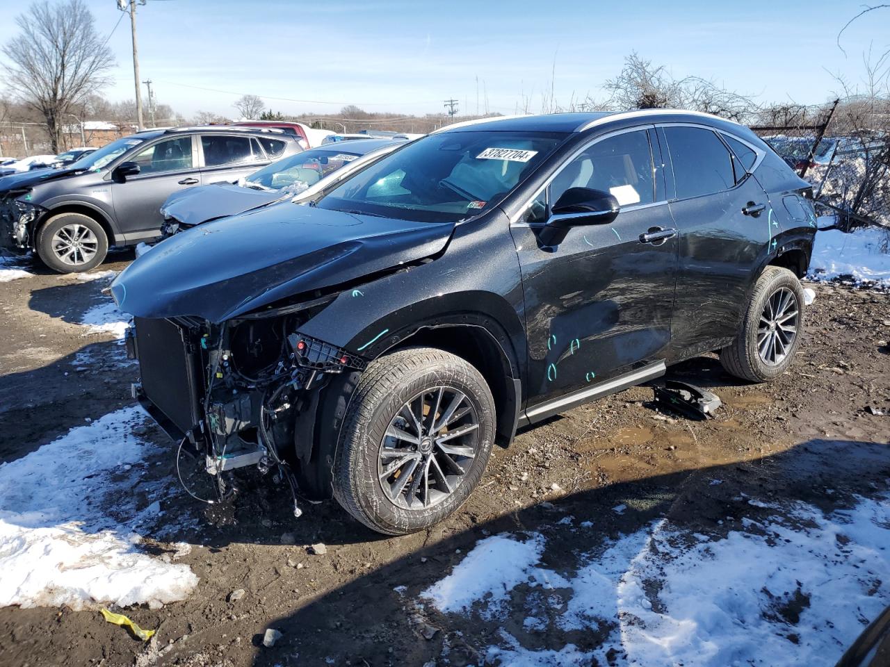 2T2AGCEZXRC035068 LEXUS NX 350 BAS 2024