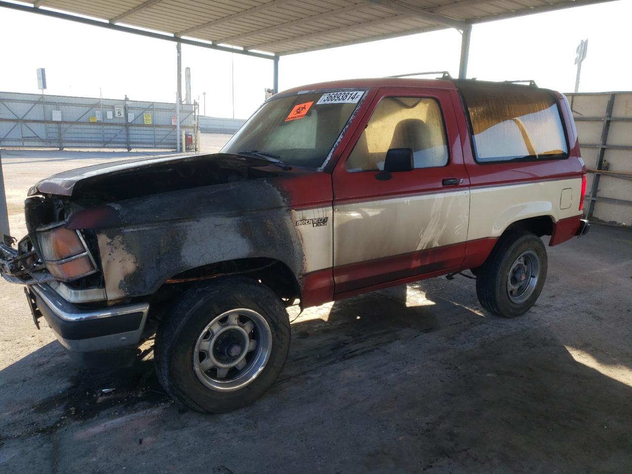 1fmcu14t4kua97156 1FMCU14T4KUA97156 1989 Ford Bronco Ii