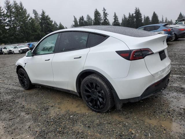 7SAYGDEEXPA117302 | 2023 Tesla model y