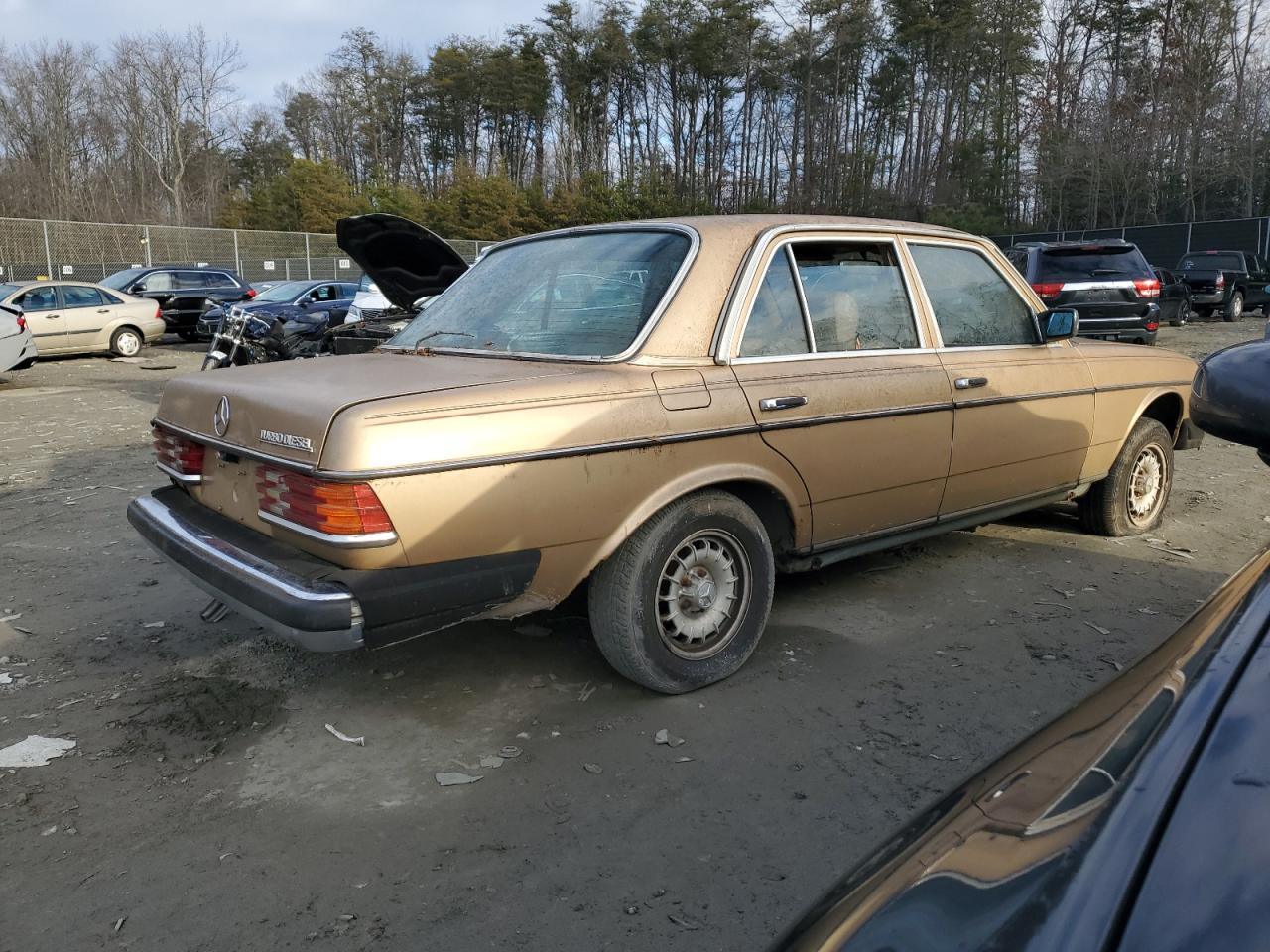 Lot #3030415459 1983 MERCEDES-BENZ 300 DT