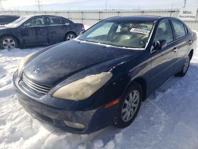 2004 Lexus ES 330 