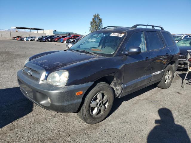 2005 Hyundai Santa Fe GLS