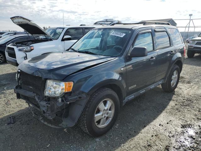 2008 Ford Escape XLT