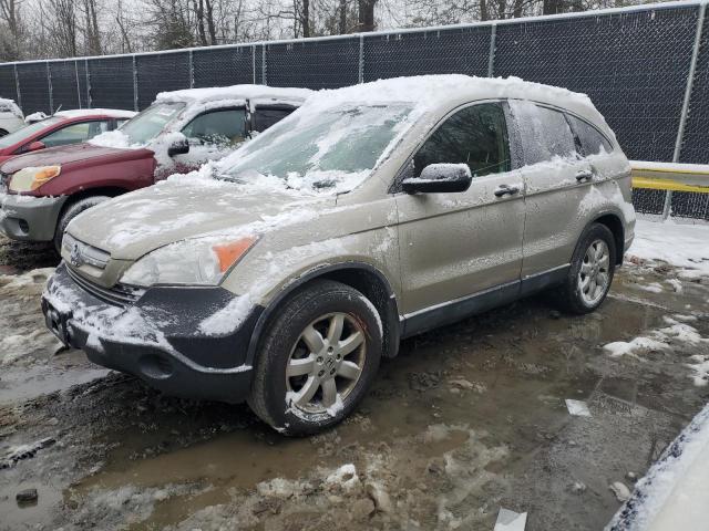 2007 Honda Cr-V Ex VIN: JHLRE48587C009900 Lot: 51022794