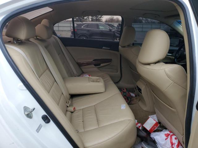 2011 Honda Accord Exl VIN: 1HGCP2F80BA144356 Lot: 38364204