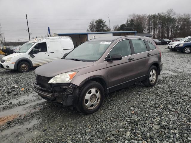 Vin: 5j6re3h34al043808, lot: 36921134, honda crv lx 2010 img_1