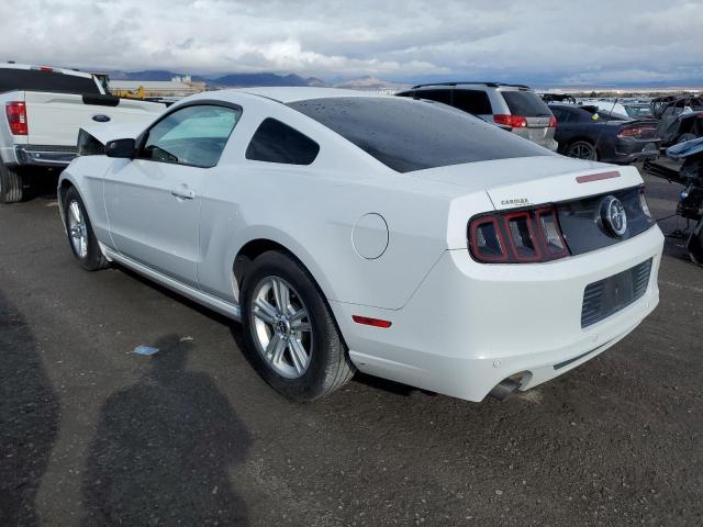 1ZVBP8AM3E5250439 | 2014 FORD MUSTANG