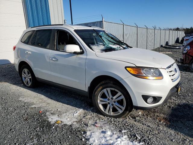 2010 Hyundai Santa Fe Se VIN: 5NMSHDAG8AH389802 Lot: 37231844