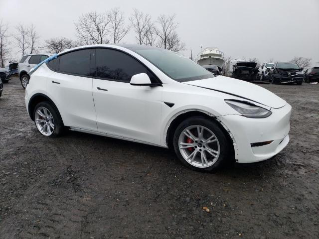 5YJYGDEE8MF305831 2021 TESLA MODEL Y-3