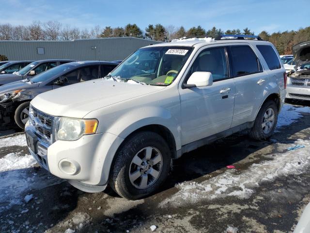 2010 Ford Escape Limited