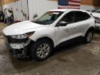 2023 FORD ESCAPE ACT - 1FMCU9GN3PUA13024