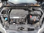 HONDA ACCORD EXL photo