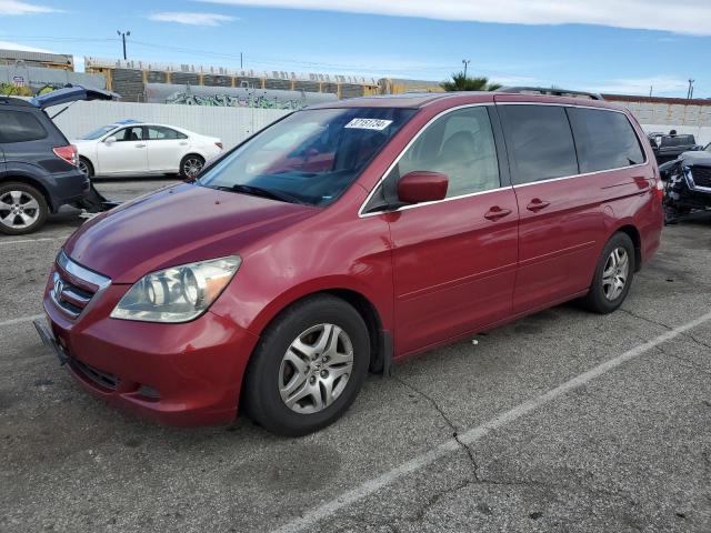 2005 Honda Odyssey EX-L