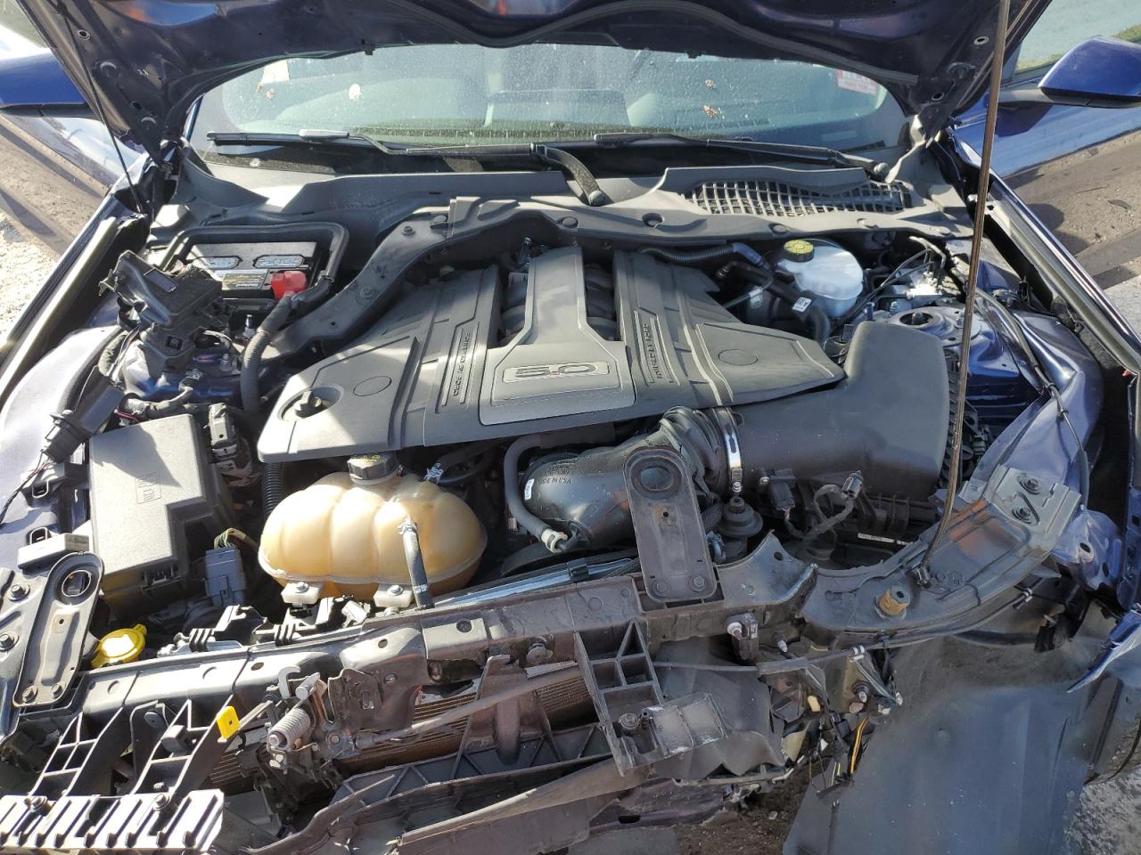 1FA6P8CF2K5205352 2019 Ford Mustang Gt