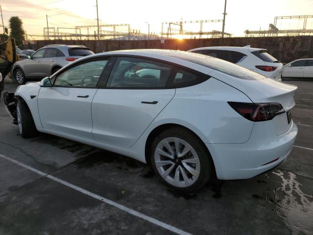 5YJ3E1EA4PF460439 | 2023 TESLA MODEL 3