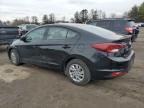 HYUNDAI ELANTRA SE photo